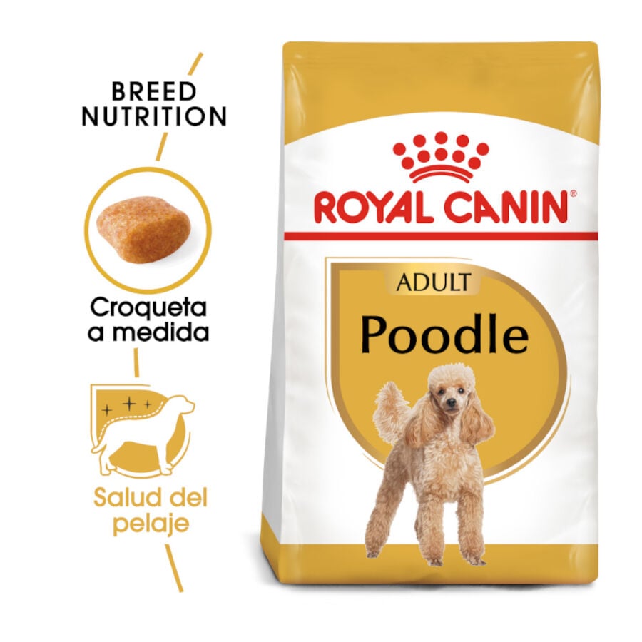 7.5 kg Royal Canin Adult Poodle pienso para perros, , large Imagen numero 2